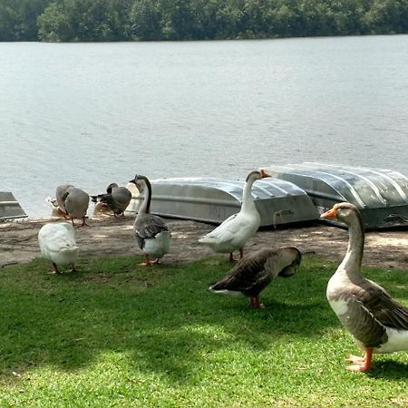 Lake Tiak - O'Khata Resort Louisville Dış mekan fotoğraf