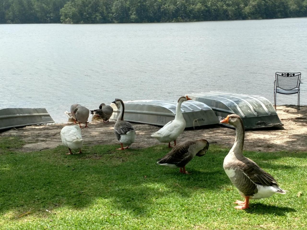 Lake Tiak - O'Khata Resort Louisville Dış mekan fotoğraf